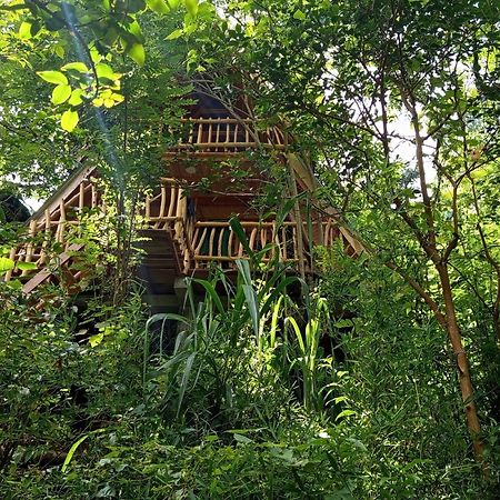 Eco Village Ella Exterior photo