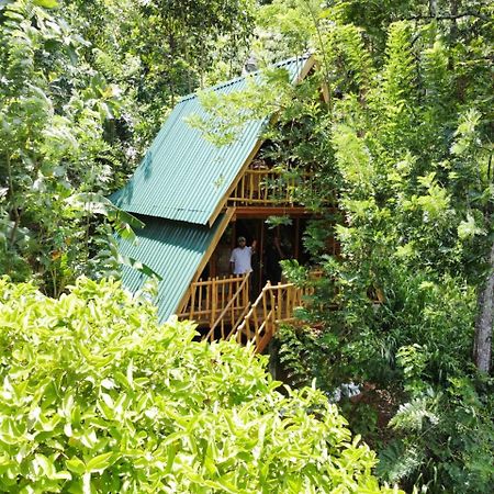 Eco Village Ella Exterior photo