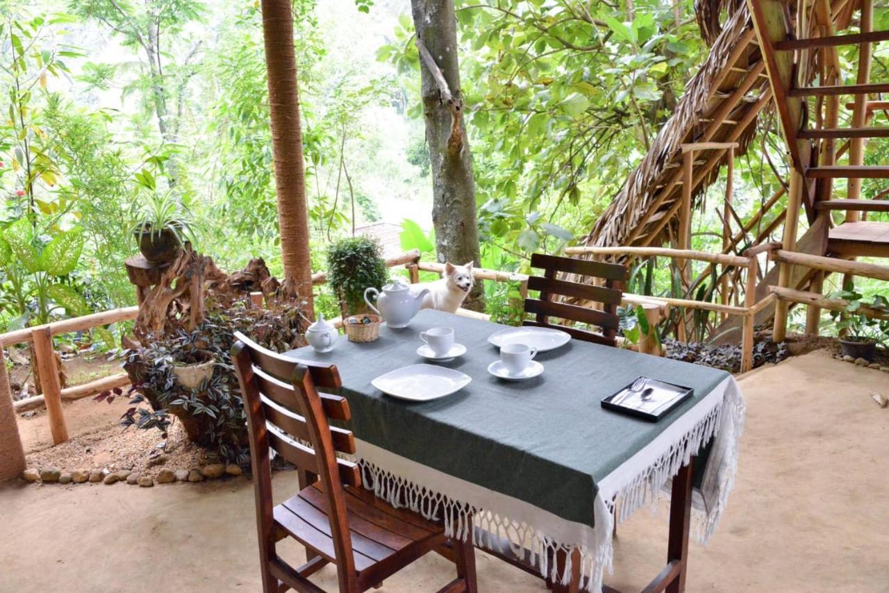 Eco Village Ella Exterior photo