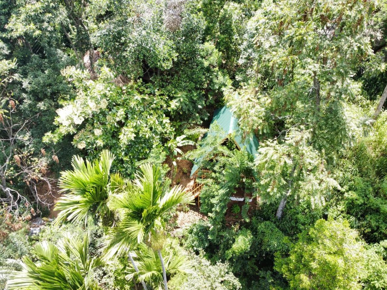 Eco Village Ella Exterior photo